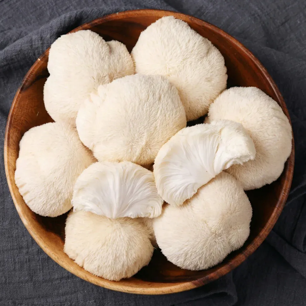 Lion's Mane 2.webp