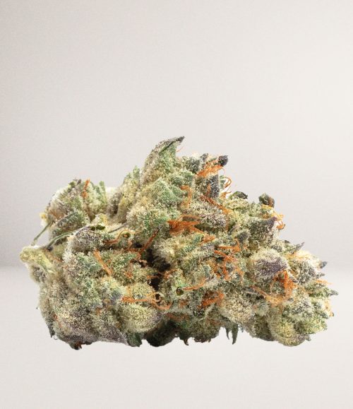 Apex OG.jpg