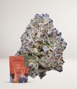HG_Durban_Poison_AAA_Sativa-1-500x579.jpg
