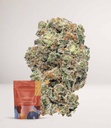 Lemonhead-OG-Indoor-Flower-500x579.jpg