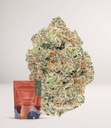 Pineapple-Express-Indoor-Flower-500x579.jpg