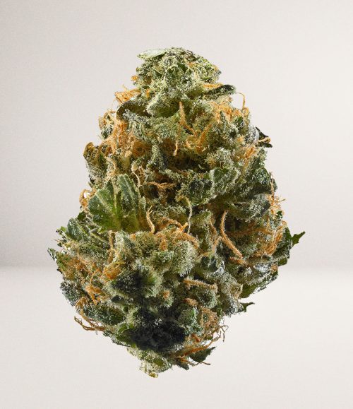 Girl Scout Cookies b.jpg