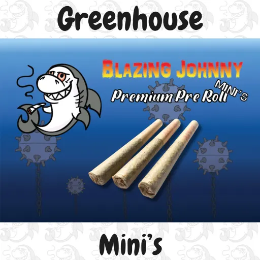 BJ Mini's.webp