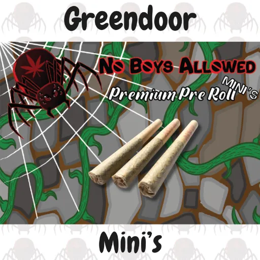 NBA Mini's.webp