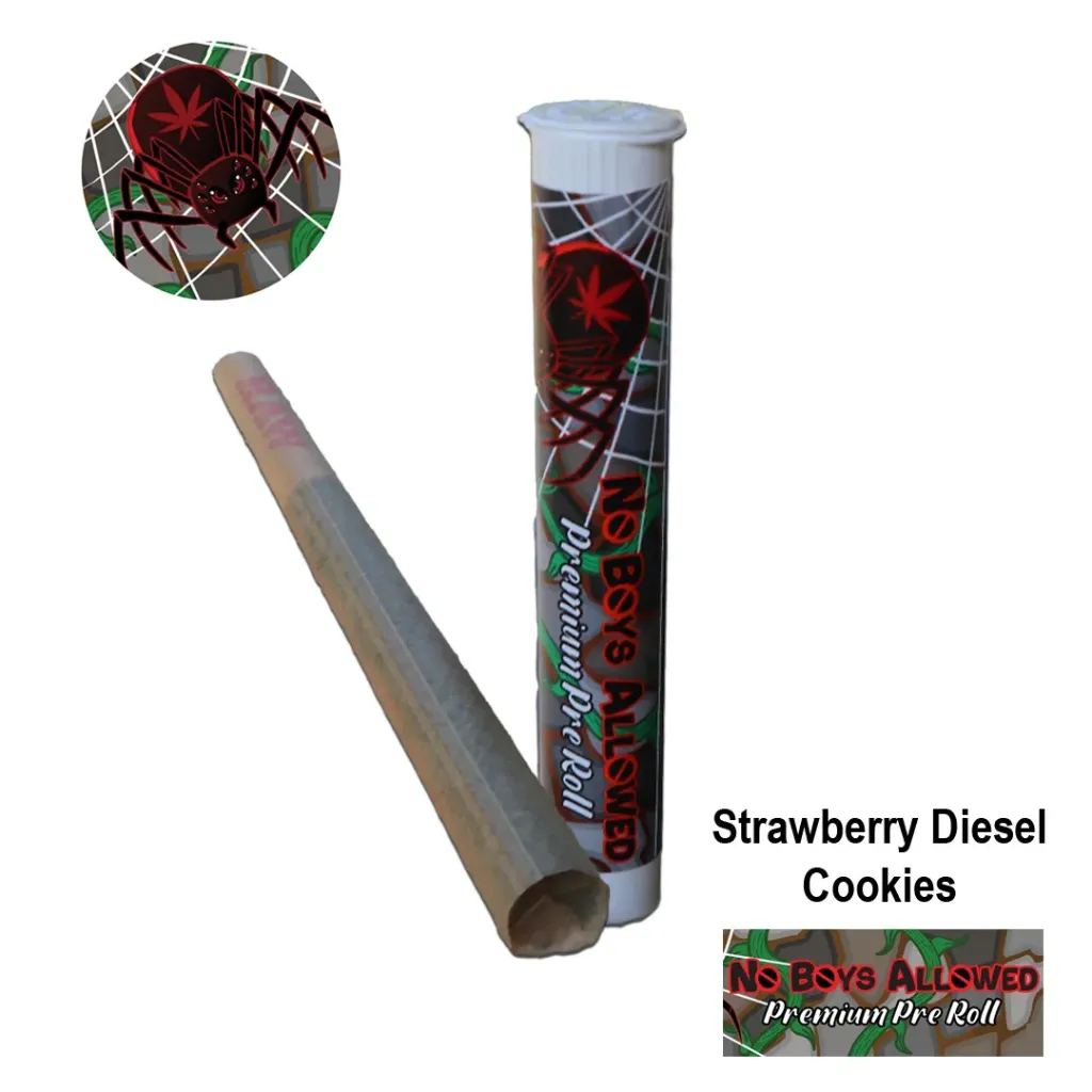 No Boys Allowed Premium Pre-Rolls - Kingsize - Greendoor - Strawberry Diesel Cookies (Sativa)