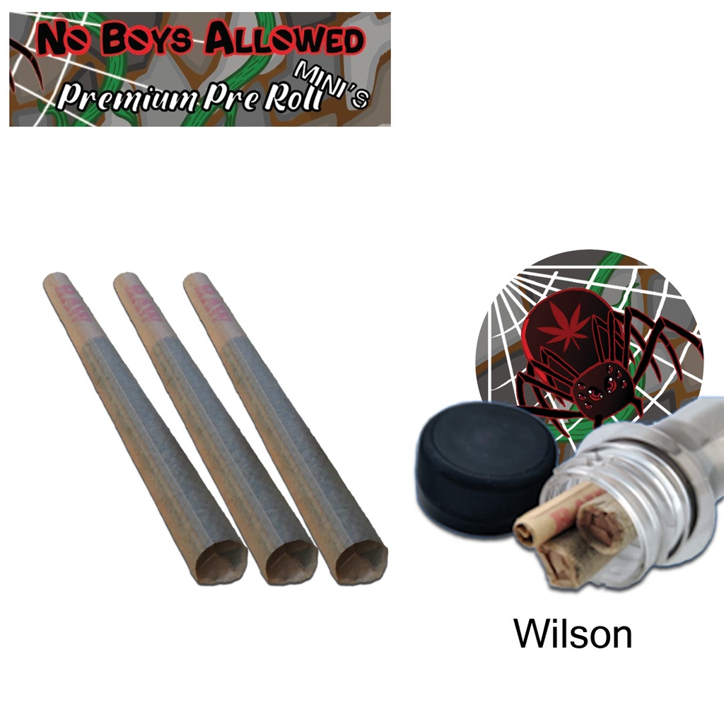No Boys Allowed Premium Pre-Rolls - Mini's - Greendoor - Wilson (Hybrid) 3's