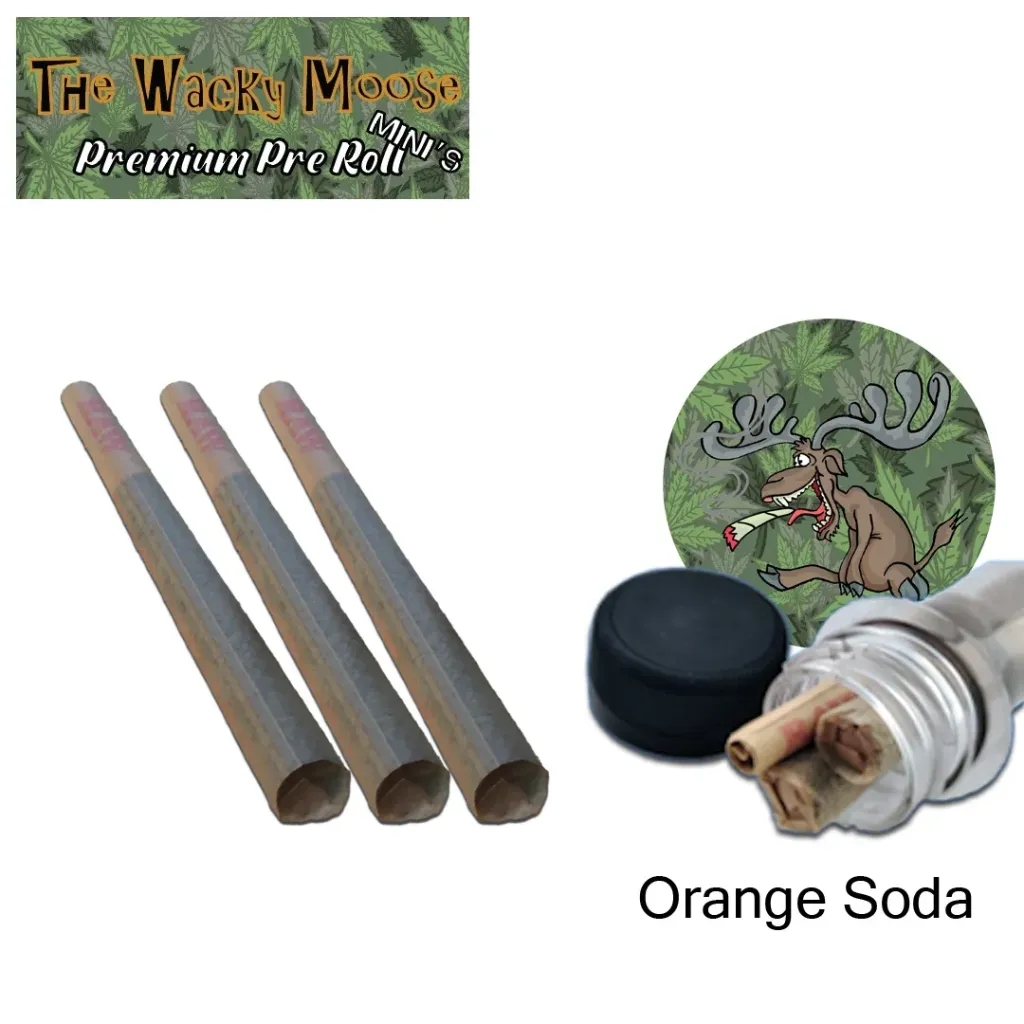Wacky Moose Premium Pre-Rolls - Mini's - Indoor - Orange Soda (Sativa) 3's