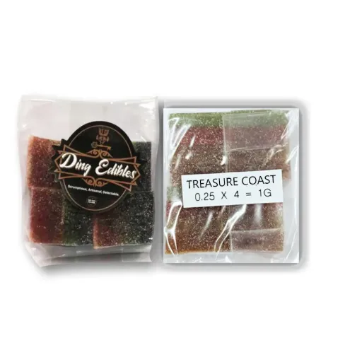 Magic Mushroom Gummies - Treasure Coast 1g (4x250mg)