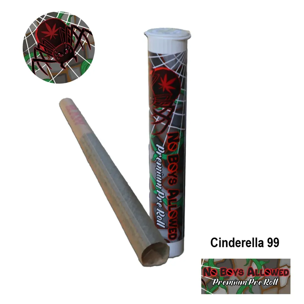 No Boys Allowed Premium Pre-Rolls - Kingsize - Greendoor - Cinderella 99 (Sativa)