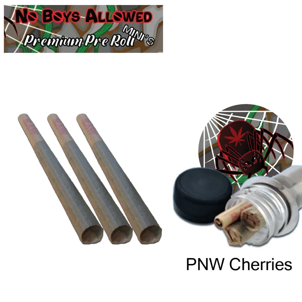 No Boys Allowed Premium Pre-Rolls - Mini's - Greendoor - PNW Cherries (Sativa) 3's